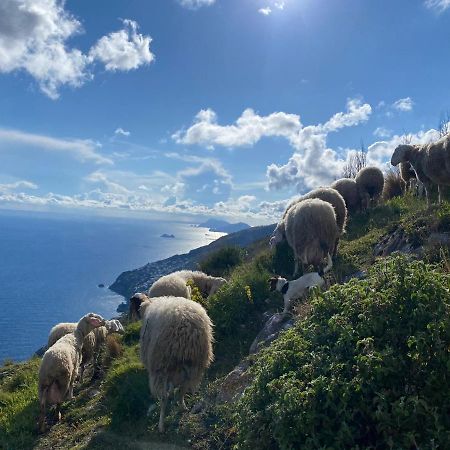 B&B Miramare Agerola Kültér fotó