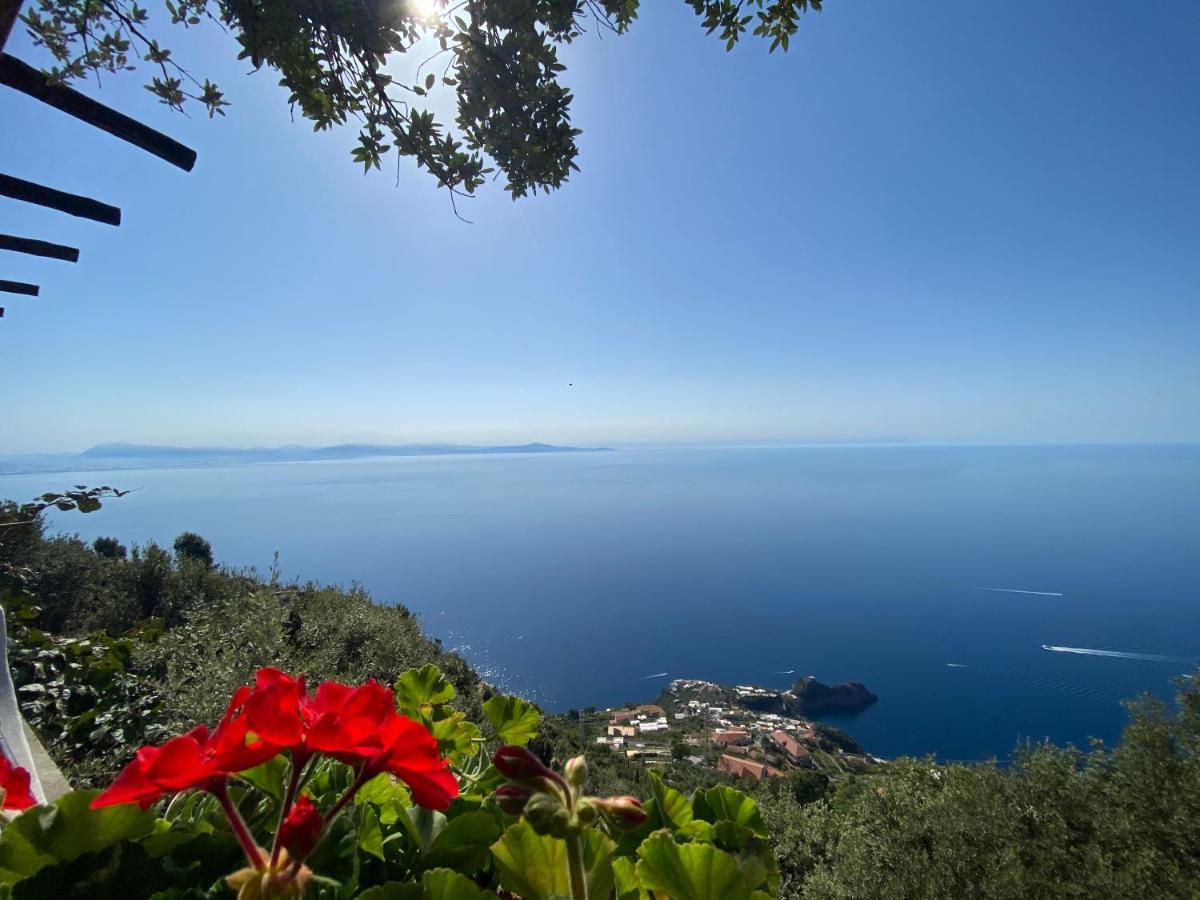 B&B Miramare Agerola Kültér fotó