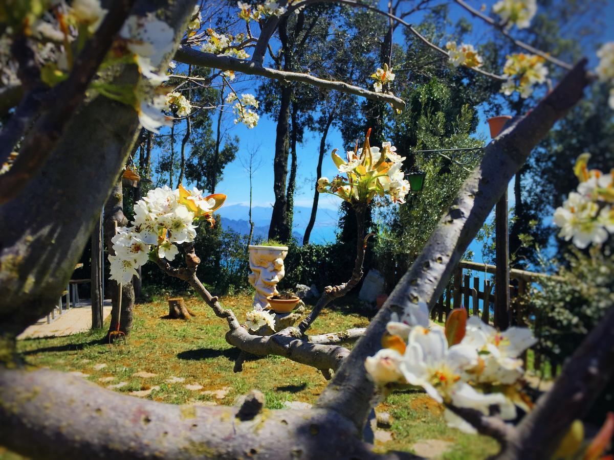 B&B Miramare Agerola Kültér fotó