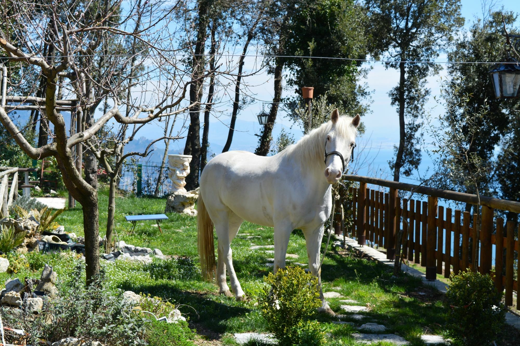 B&B Miramare Agerola Kültér fotó